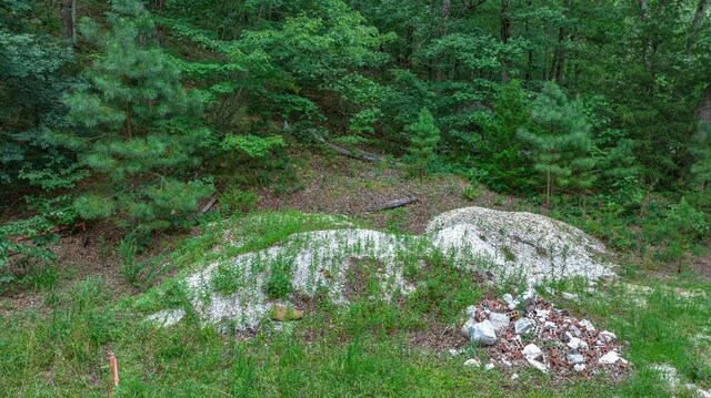 TBD Low Gap Rd, West Fork, AR 72774 - photo 29