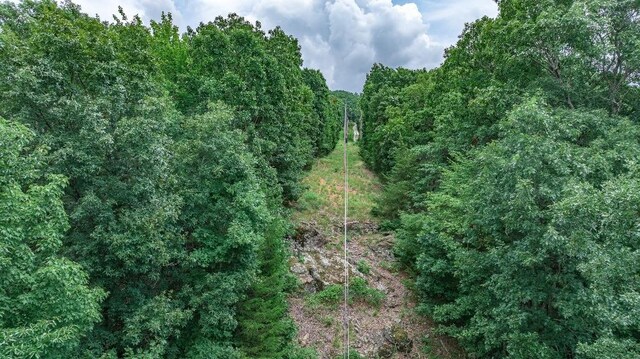 TBD Low Gap Rd, West Fork, AR 72774 - photo 30