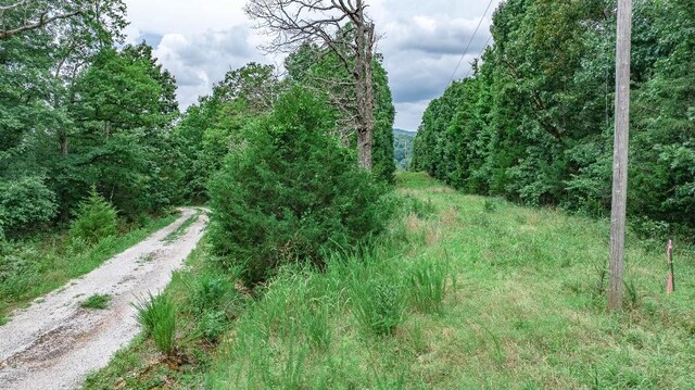 TBD Low Gap Rd, West Fork, AR 72774 - photo 31
