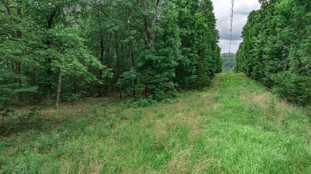 TBD Low Gap Rd, West Fork, AR 72774 - photo 32