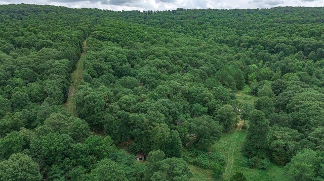TBD Low Gap Rd, West Fork, AR 72774 - photo 33