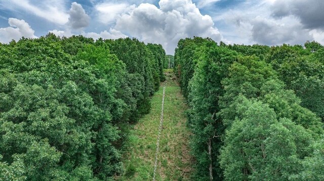 TBD Low Gap Rd, West Fork, AR 72774 - photo 34