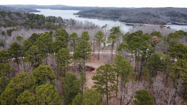 21885 Ridgeview Ln, Rogers, AR 72756 - photo 3