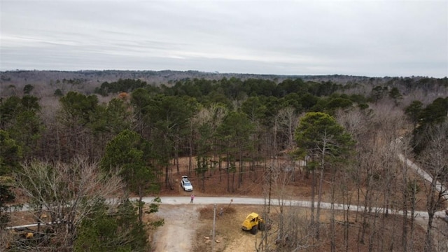 21885 Ridgeview Ln, Rogers, AR 72756 - photo 5