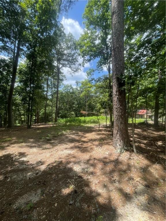 21885 Ridgeview Ln, Rogers, AR 72756 - photo 9