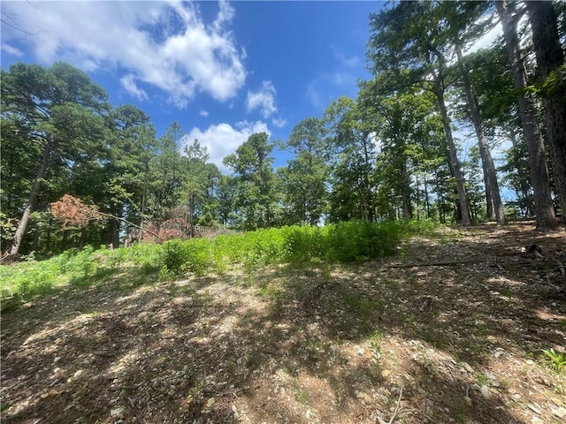 21885 Ridgeview Ln, Rogers, AR 72756 - photo 10