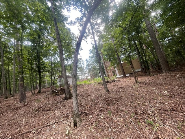 21885 Ridgeview Ln, Rogers, AR 72756 - photo 21