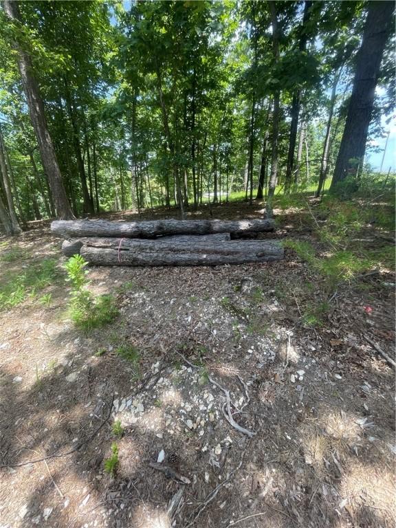 21885 Ridgeview Ln, Rogers, AR 72756 - photo 23