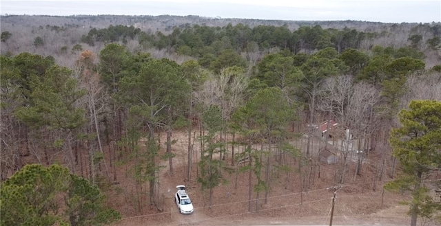 21885 Ridgeview Ln, Rogers, AR 72756 - photo 4