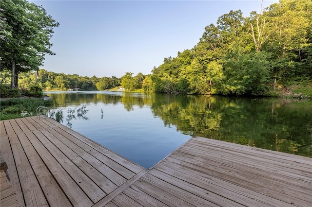 12 Talana Ln, Bella Vista, AR 72715 - photo 2