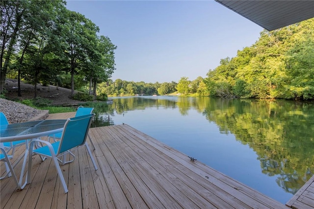12 Talana Ln, Bella Vista, AR 72715 - photo 47