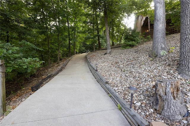 12 Talana Ln, Bella Vista, AR 72715 - photo 48