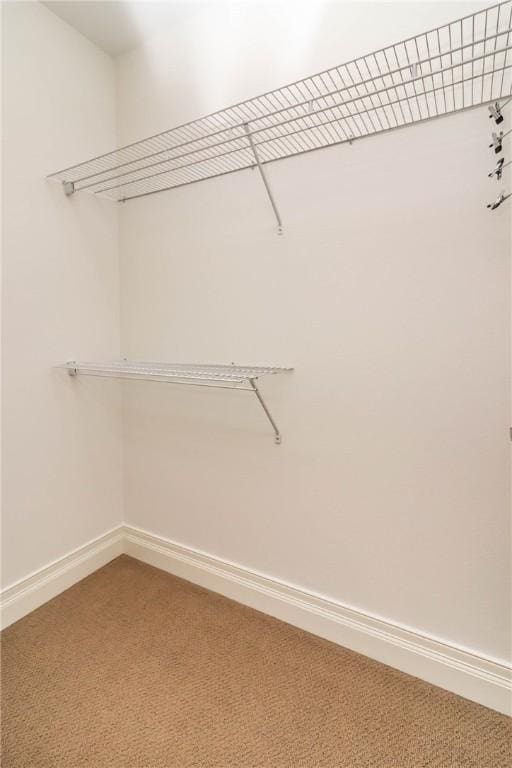 609 W Dickson St Unit 505, Fayetteville, AR 72701 - photo 23