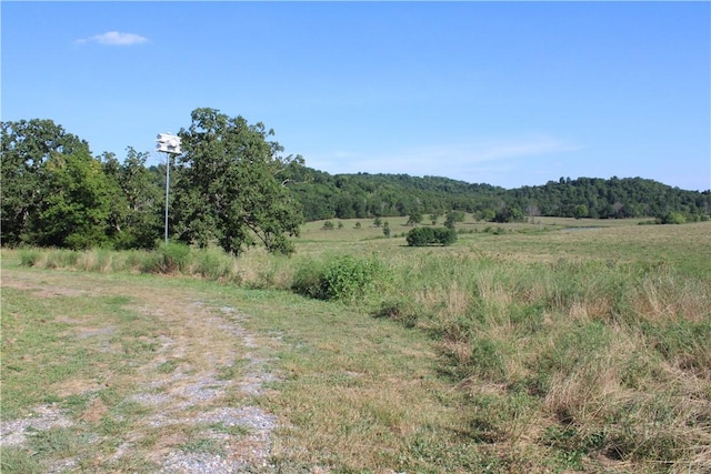 897 Rail Rd, Leslie, AR 72645 - photo 29