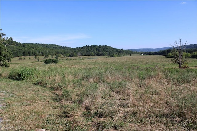 897 Rail Rd, Leslie, AR 72645 - photo 30