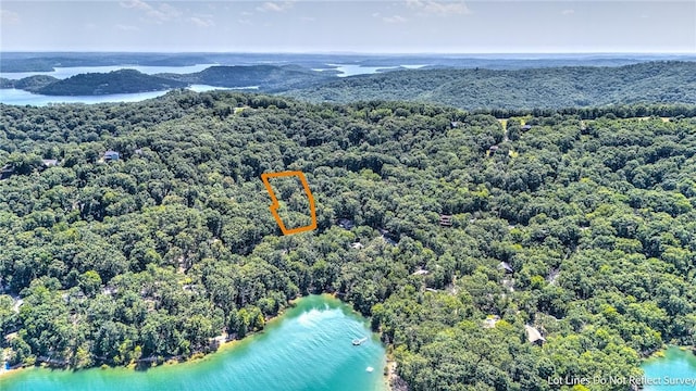Dogwood Dr, Garfield, AR 72732 - photo 6