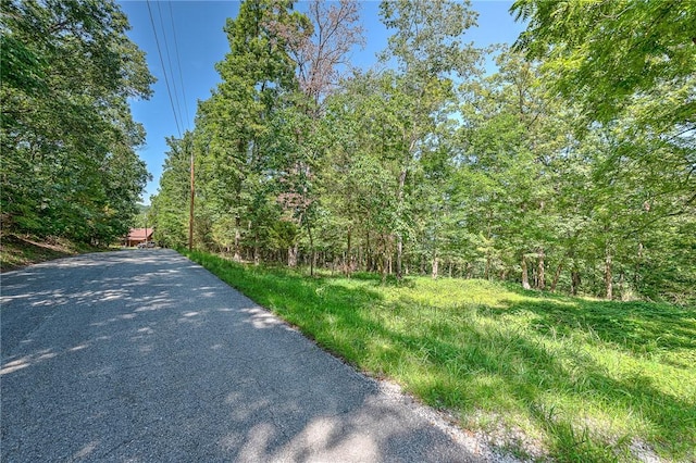 Dogwood Dr, Garfield, AR 72732 - photo 3
