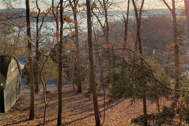 Dogwood Dr, Garfield, AR 72732 - photo 15
