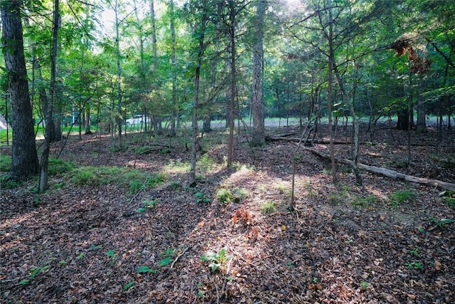 Dogwood Dr, Garfield, AR 72732 - photo 16