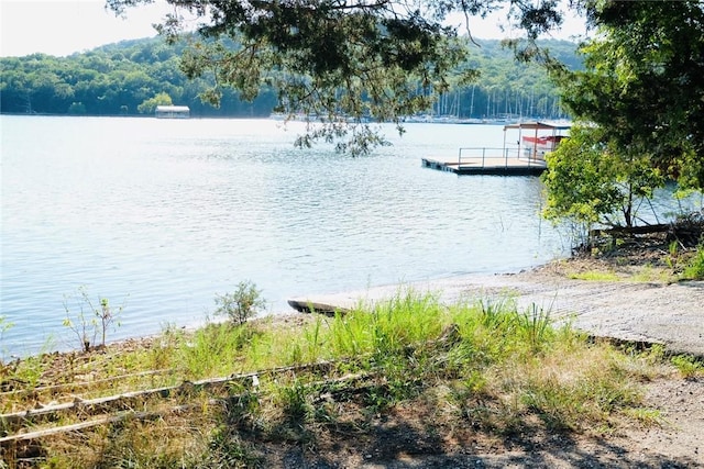 Dogwood Dr, Garfield, AR 72732 - photo 22