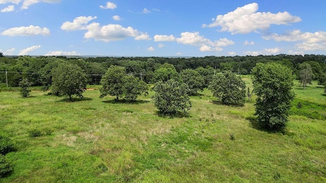 1898 Holly Rd, Southwest City, MO 64863 - photo 11