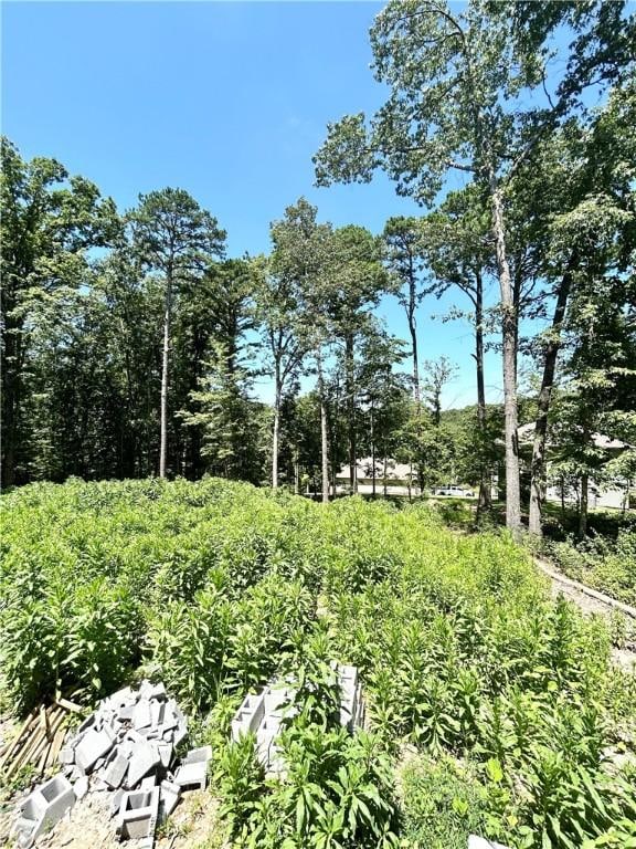 2 Barnet Ln, Bella Vista, AR 72714 - photo 15