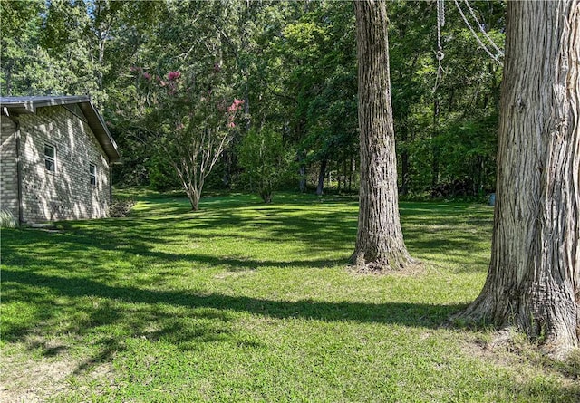 311 Cedar Ln, Jasper, AR 72641 - photo 10