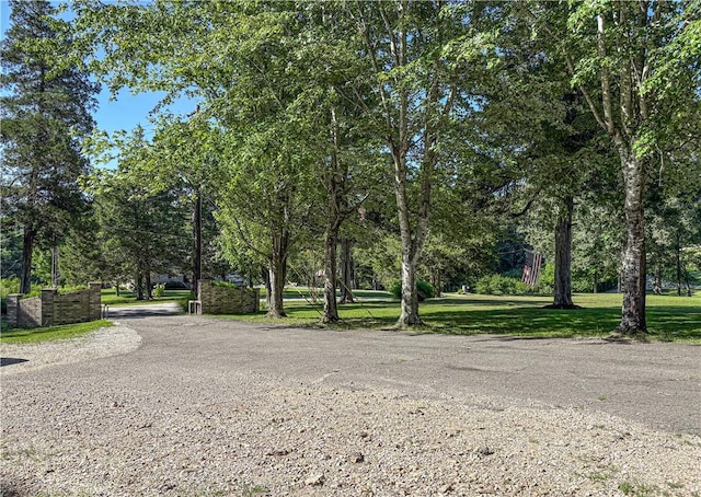 311 Cedar Ln, Jasper, AR 72641 - photo 13