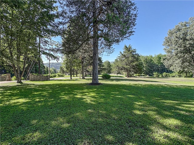 311 Cedar Ln, Jasper, AR 72641 - photo 14