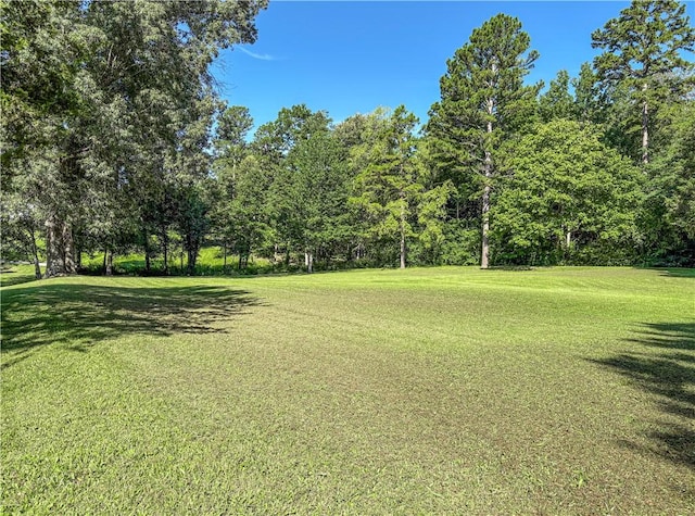 311 Cedar Ln, Jasper, AR 72641 - photo 15