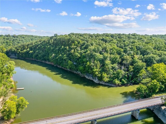972 County Road 452, Berryville, AR 72616 - photo 7