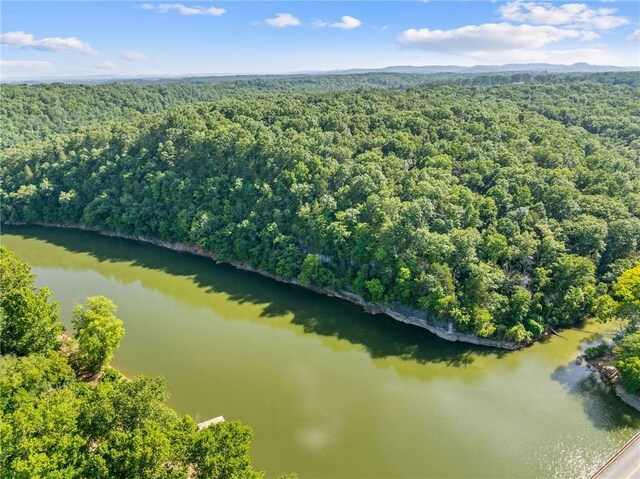 972 County Road 452, Berryville, AR 72616 - photo 8