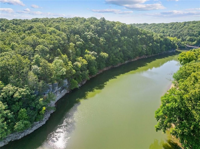 972 County Road 452, Berryville, AR 72616 - photo 9