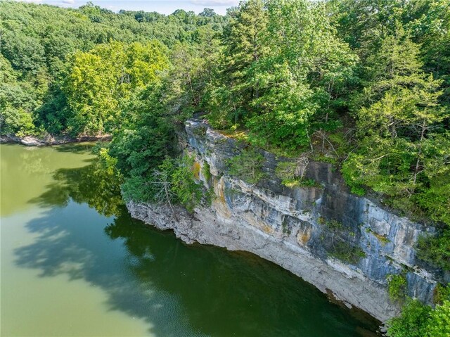 972 County Road 452, Berryville, AR 72616 - photo 10