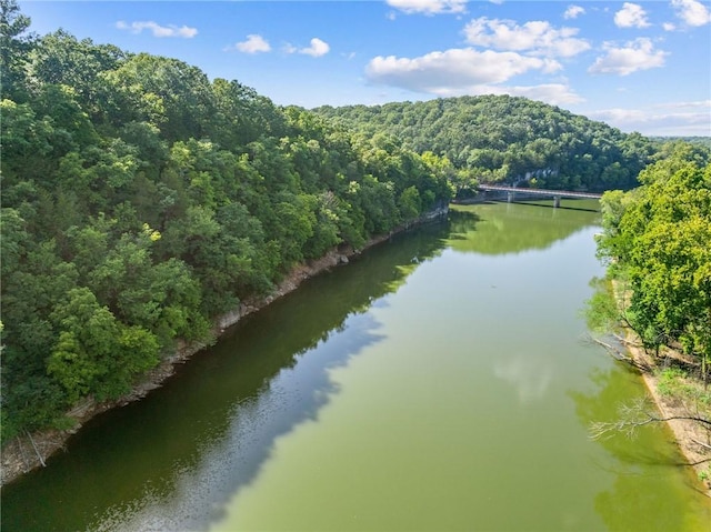 972 County Road 452, Berryville, AR 72616 - photo 12
