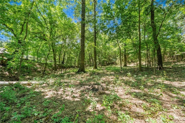 17752 Beav O Rama Rd, Fayetteville, AR 72703 - photo 23