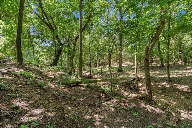 17752 Beav O Rama Rd, Fayetteville, AR 72703 - photo 22
