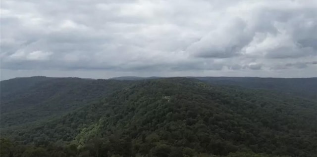 2325 W Fly Gap Rd, Combs, AR 72721 - photo 1