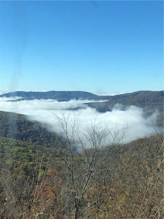2325 W Fly Gap Rd, Combs, AR 72721 - photo 2