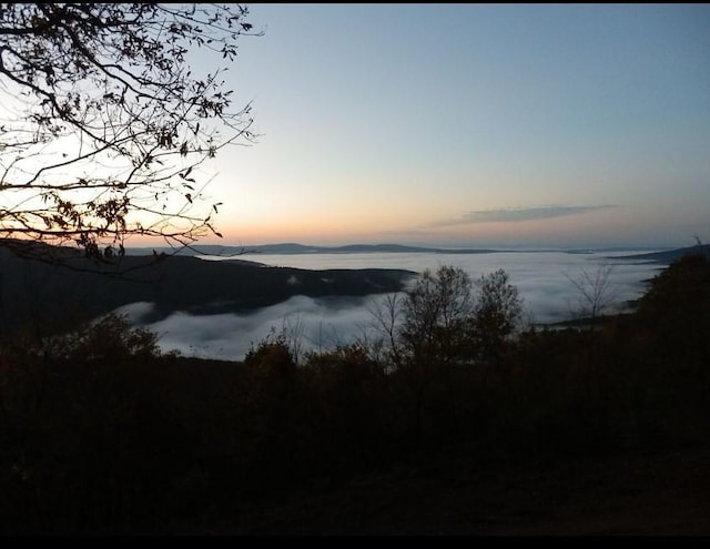 2325 W Fly Gap Rd, Combs, AR 72721 - photo 3
