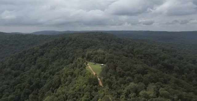 2325 W Fly Gap Rd, Combs, AR 72721 - photo 5