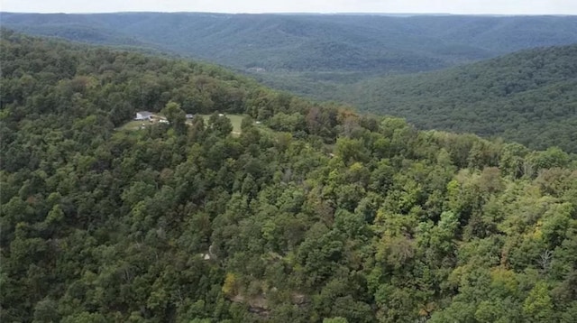 2325 W Fly Gap Rd, Combs, AR 72721 - photo 6