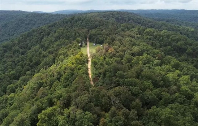 2325 W Fly Gap Rd, Combs, AR 72721 - photo 7