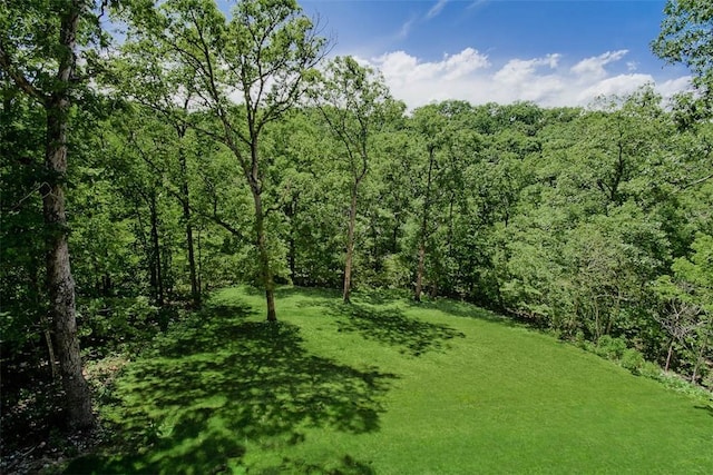 24 Cheshnut Dr, Bella Vista, AR 72714 - photo 24