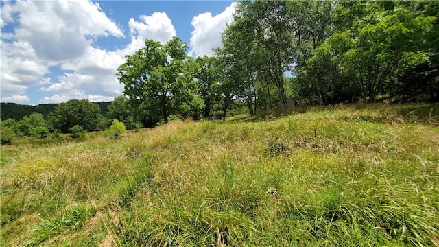 929 Madison 5330, Huntsville, AR 72740 - photo 9