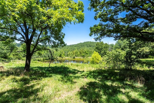 929 Madison 5330, Huntsville, AR 72740 - photo 7