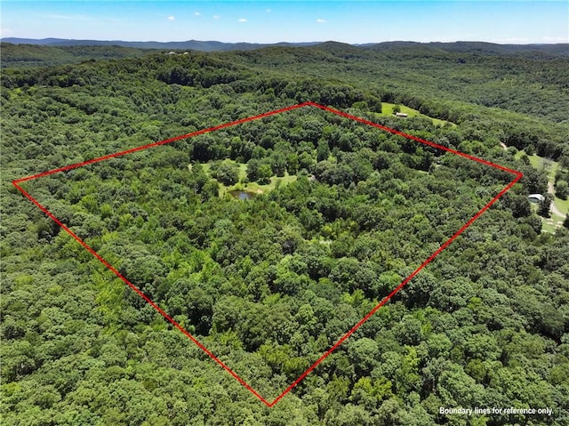 929 Madison 5330, Huntsville, AR 72740 - photo 23