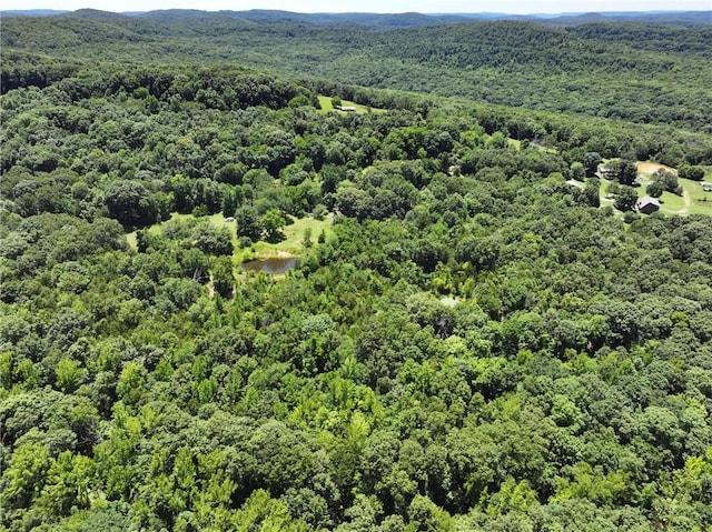 929 Madison 5330, Huntsville, AR 72740 - photo 24