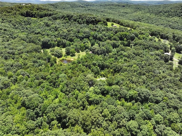 929 Madison 5330, Huntsville, AR 72740 - photo 25