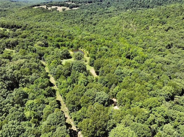 929 Madison 5330, Huntsville, AR 72740 - photo 28